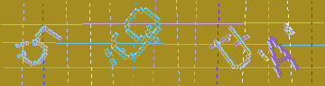 確認代碼