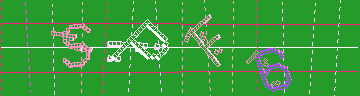 確認代碼