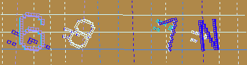 確認代碼
