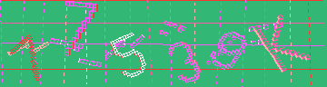確認代碼