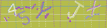 確認代碼