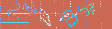 確認代碼