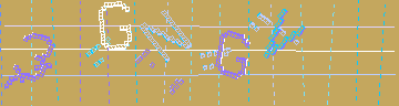 確認代碼