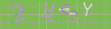 確認代碼