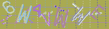 確認代碼