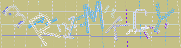 確認代碼