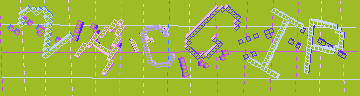 確認代碼