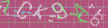 確認代碼