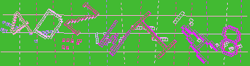 確認代碼