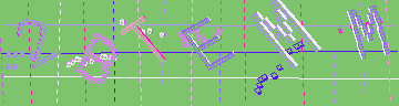確認代碼