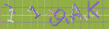 確認代碼