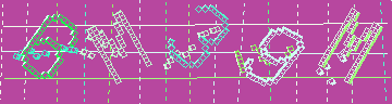 確認代碼