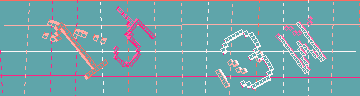 確認代碼