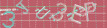 確認代碼