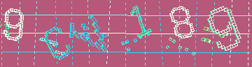 確認代碼