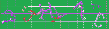 確認代碼
