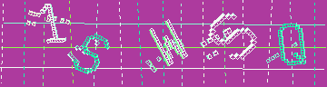 確認代碼