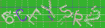 確認代碼