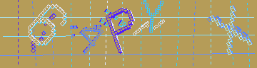 確認代碼