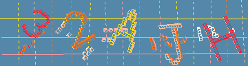 確認代碼