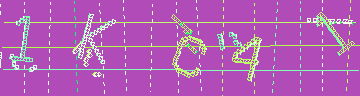 確認代碼