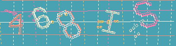 確認代碼