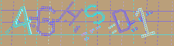確認代碼