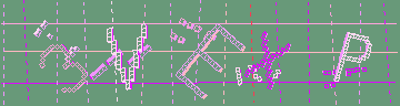 確認代碼