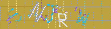 確認代碼