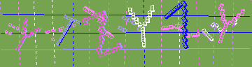 確認代碼