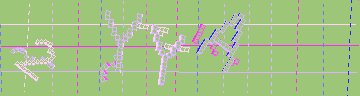 確認代碼
