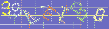 確認代碼