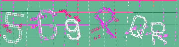 確認代碼