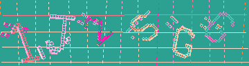 確認代碼