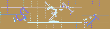確認代碼