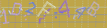 確認代碼