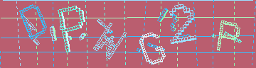 確認代碼