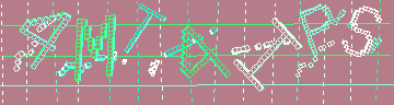 確認代碼