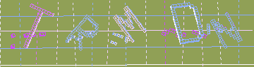 確認代碼