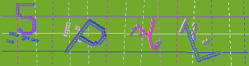 確認代碼