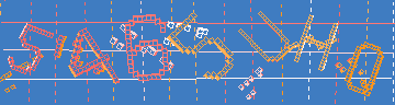 確認代碼