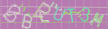 確認代碼