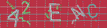 確認代碼