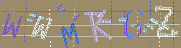 確認代碼