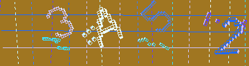 確認代碼