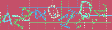 確認代碼