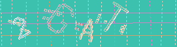 確認代碼