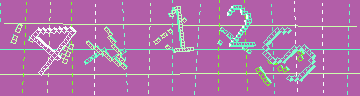 確認代碼