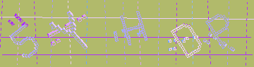 確認代碼