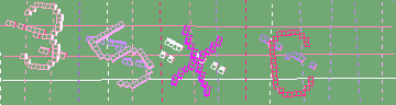 確認代碼